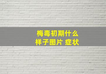 梅毒初期什么样子图片 症状